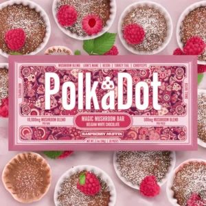 Buy PolkaDot Raspberry Muffin Mushroom Chocolate Bar online